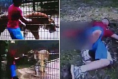 (vidéo) Un garçon de 11 ans se fait arracher la main en voulant caresser un tigre (vidéo) Un garçon de 11 ans se fait arracher la main en voulant caresser un tigre